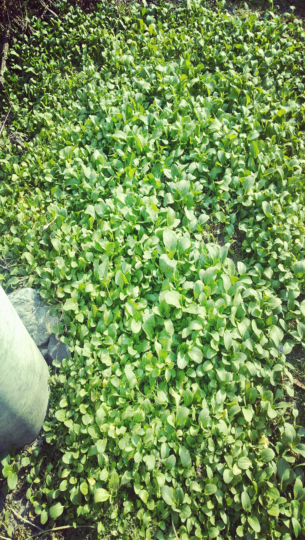 冬日·静谧（图ZMzY2ODYxNDA=） - 其他摄影 - 站酷设计师IssueBeam原创素材 - 站酷ZCOOL