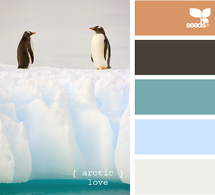 美丽的配色卡啊——04