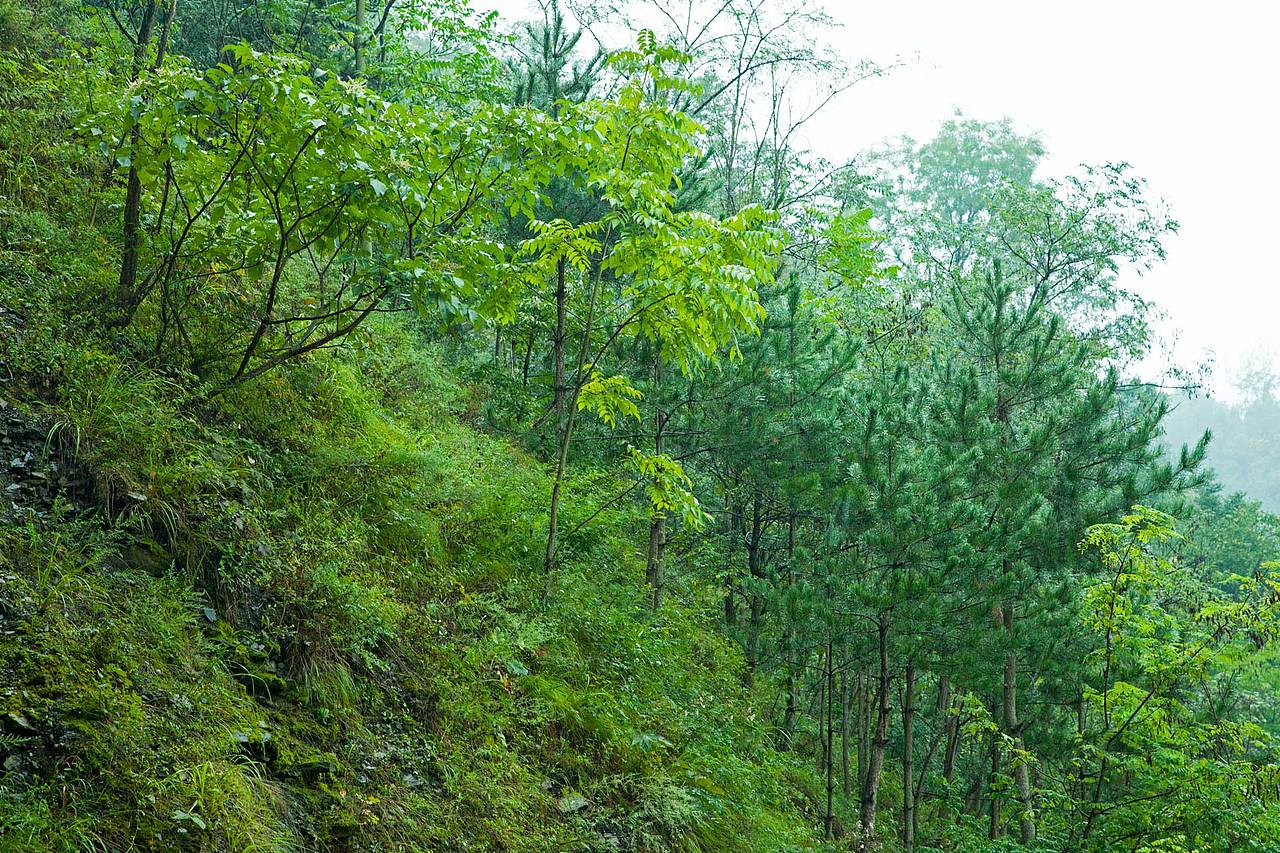 陕西洛南旅游扶贫摄影花絮集合