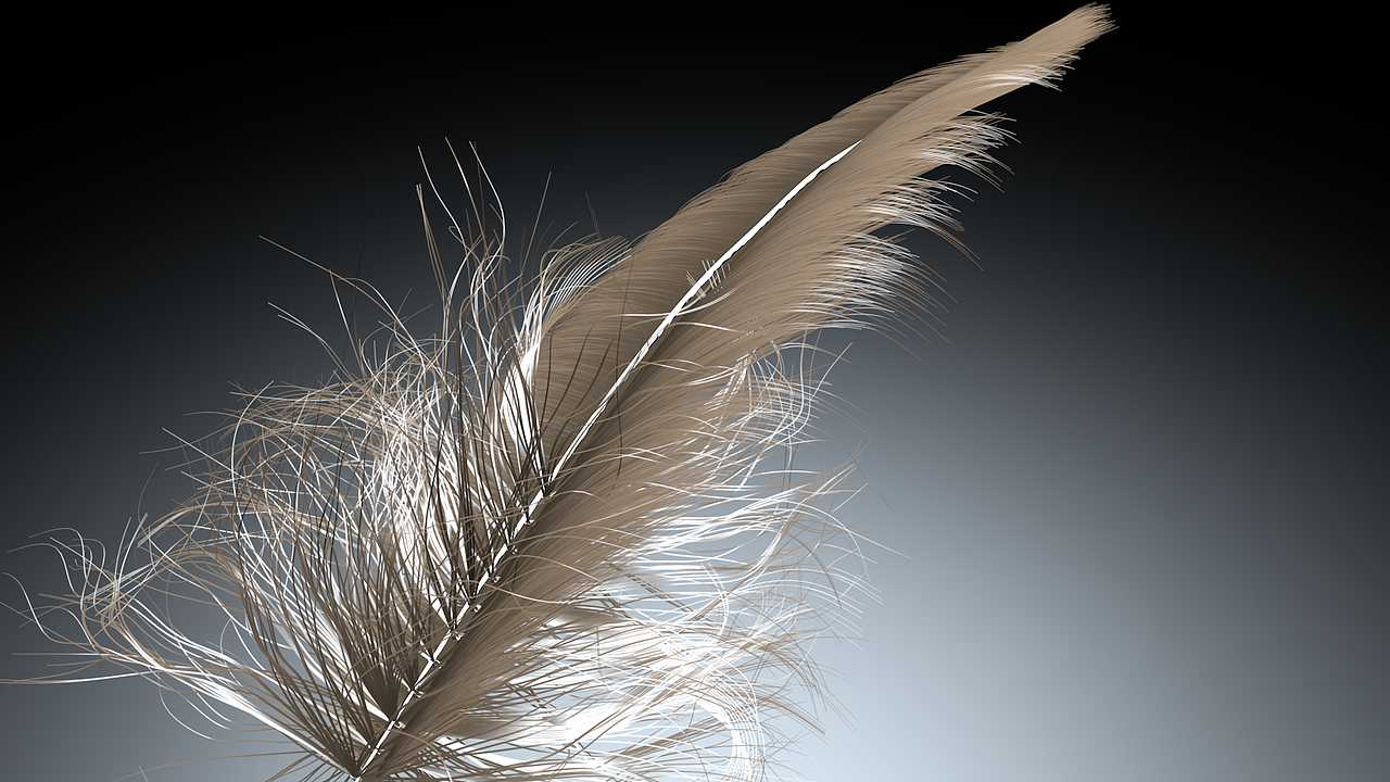feather|三维|其他三维|eewha_原创作品-站酷zcool