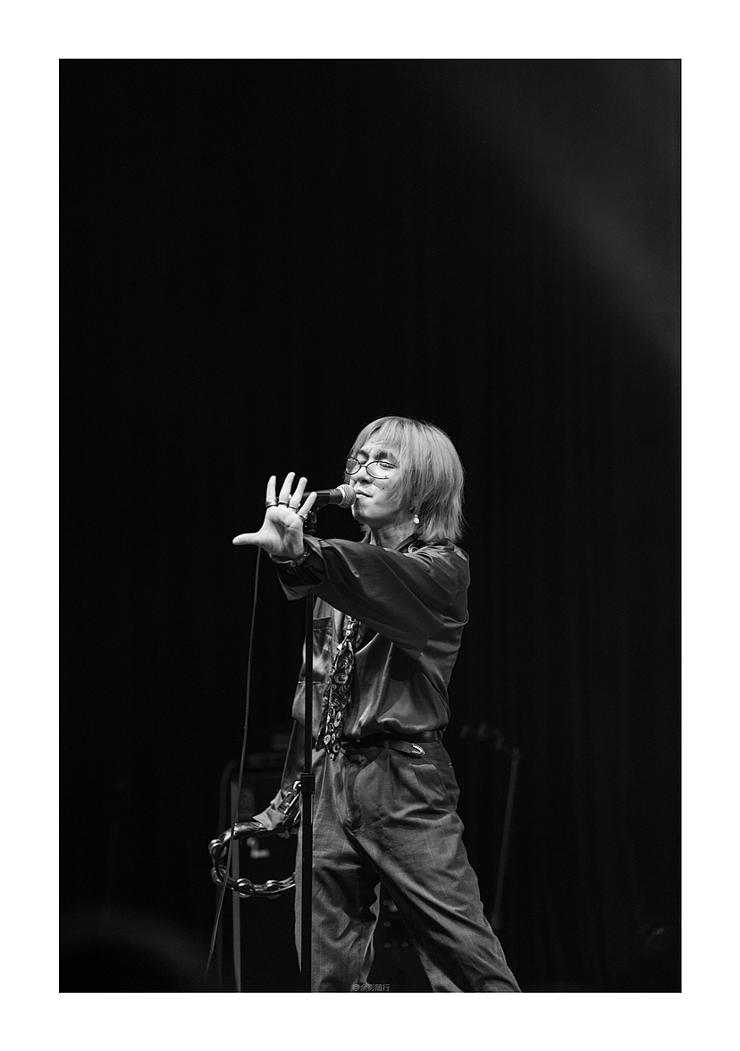 丢莱卡乐队～「青年艺术家画像」