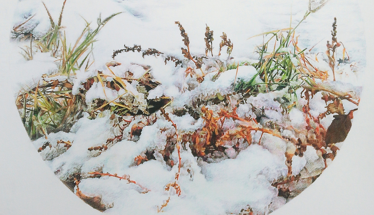 彩铅的魅力 —《初雪》风景系列