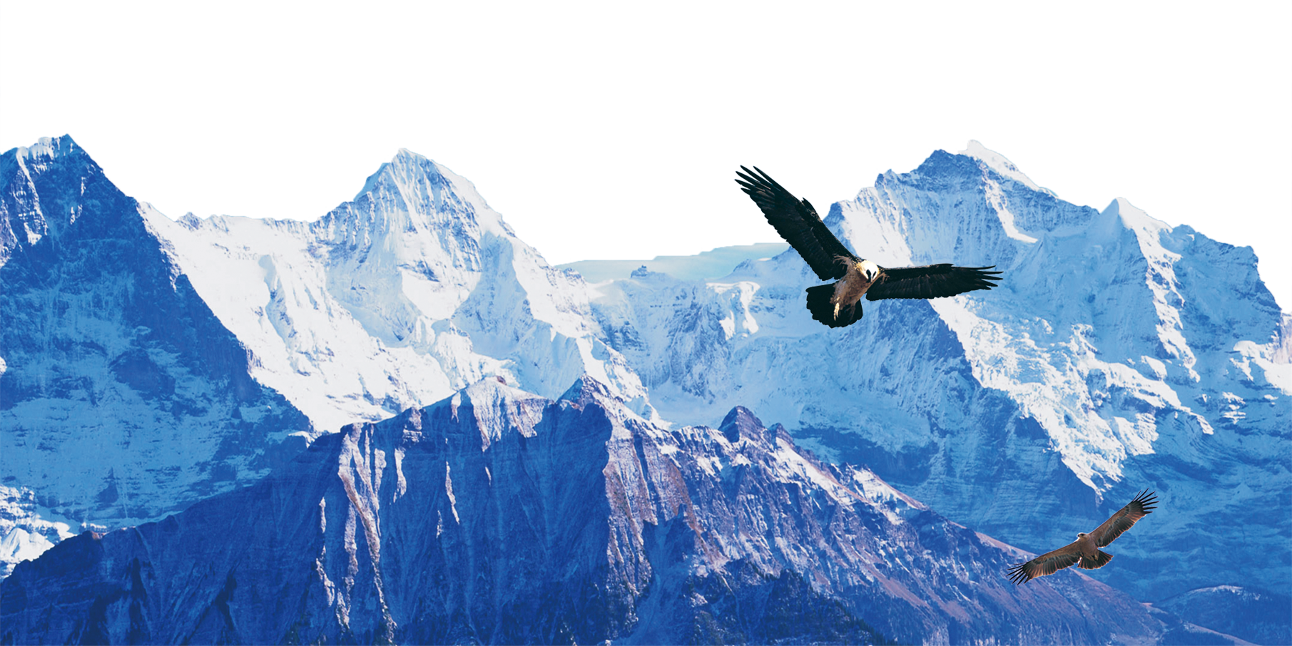 IamBobo丶的個(gè)人主頁(yè)（封面預(yù)覽） - 主頁(yè)封面設(shè)置 - 站酷設(shè)計(jì)師IamBobo丶原創(chuàng)素材 - 站酷ZCOOL