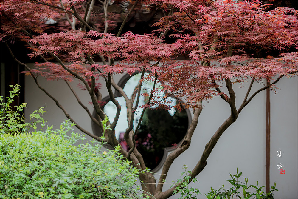 清明~（图ZMTExNjcwMjQw） - 风光摄影 - 站酷设计师马丁的老相机原创素材 - 站酷ZCOOL