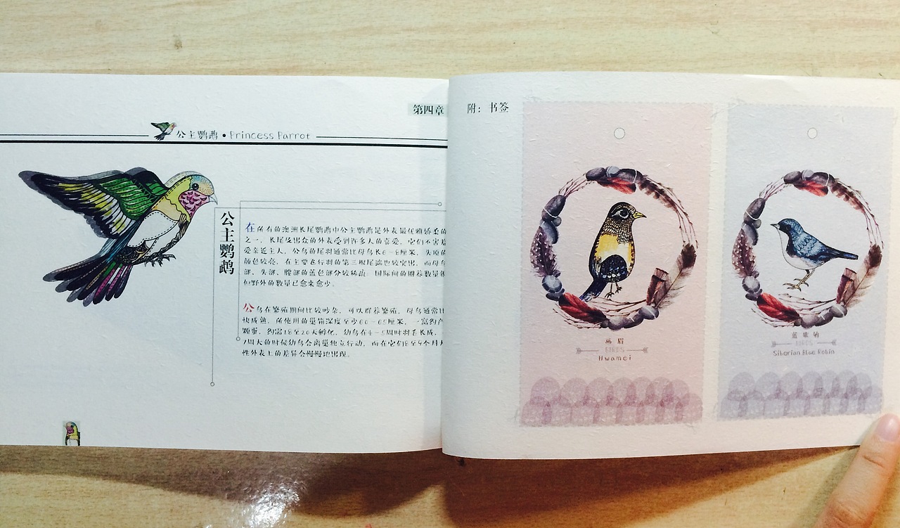 《惜鸟集》书籍设计（图ZMzczMzY4Mjg=） - 书籍/画册 - 站酷设计师JANICEYANG原创素材 - 站酷ZCOOL