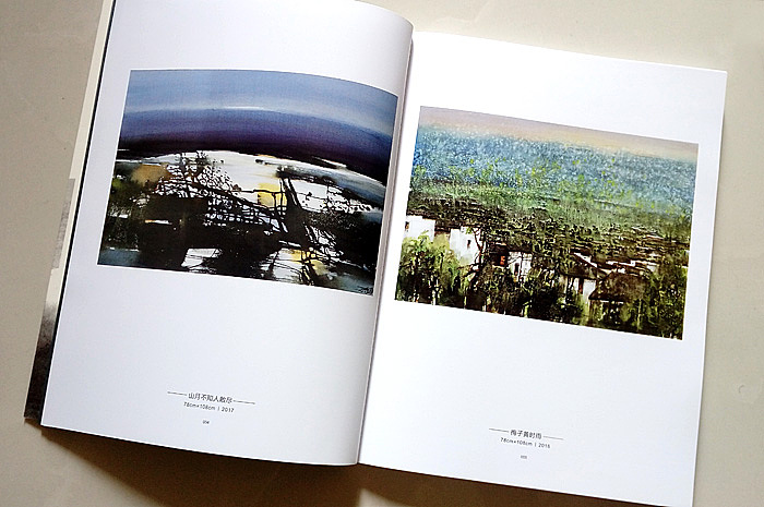 精装:在水一方——安徽水彩·水墨名家邀请展作品集