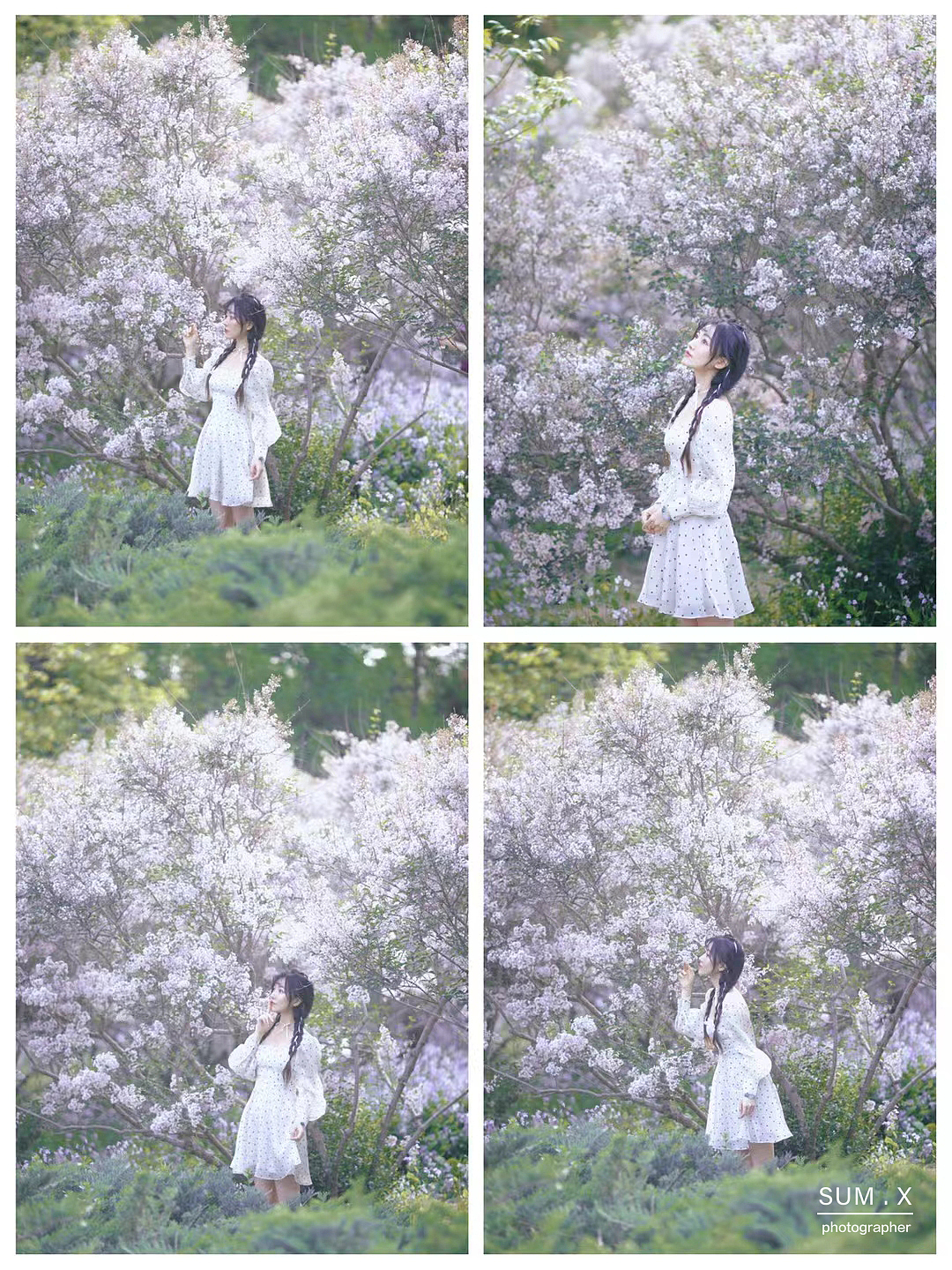 我是不是与你见过春天