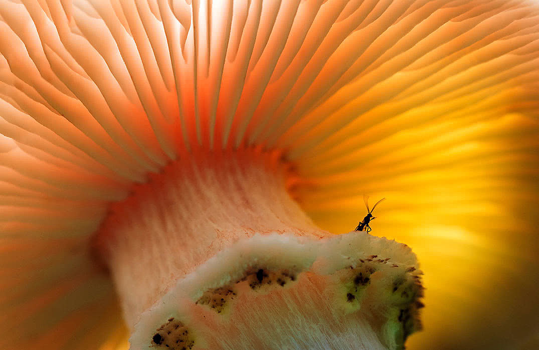 合成欣赏（图ZMTM3MDk3MTUy） - 其他平面 - 站酷设计师石毅原创素材 - 站酷ZCOOL