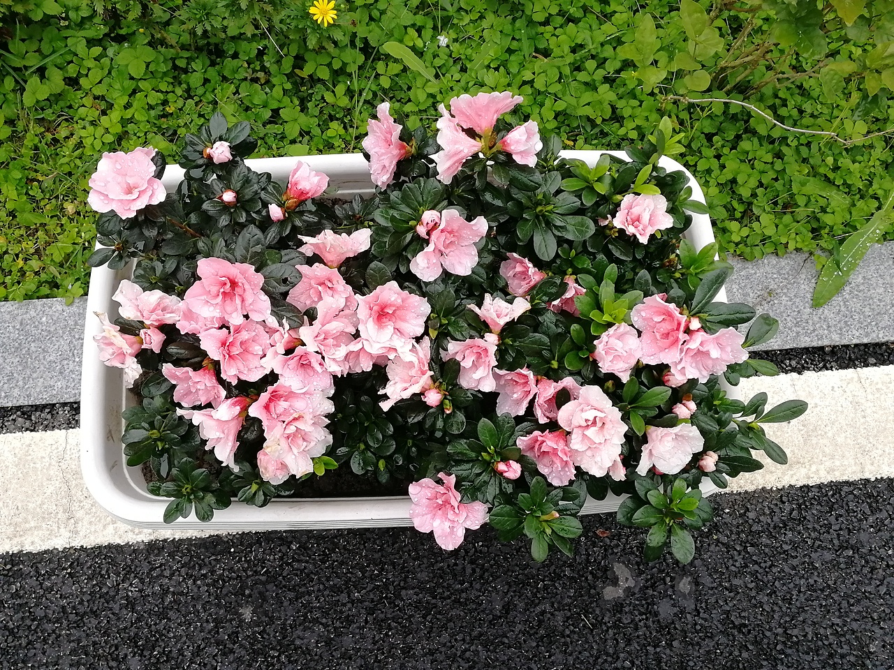 德阳高尊文化中心