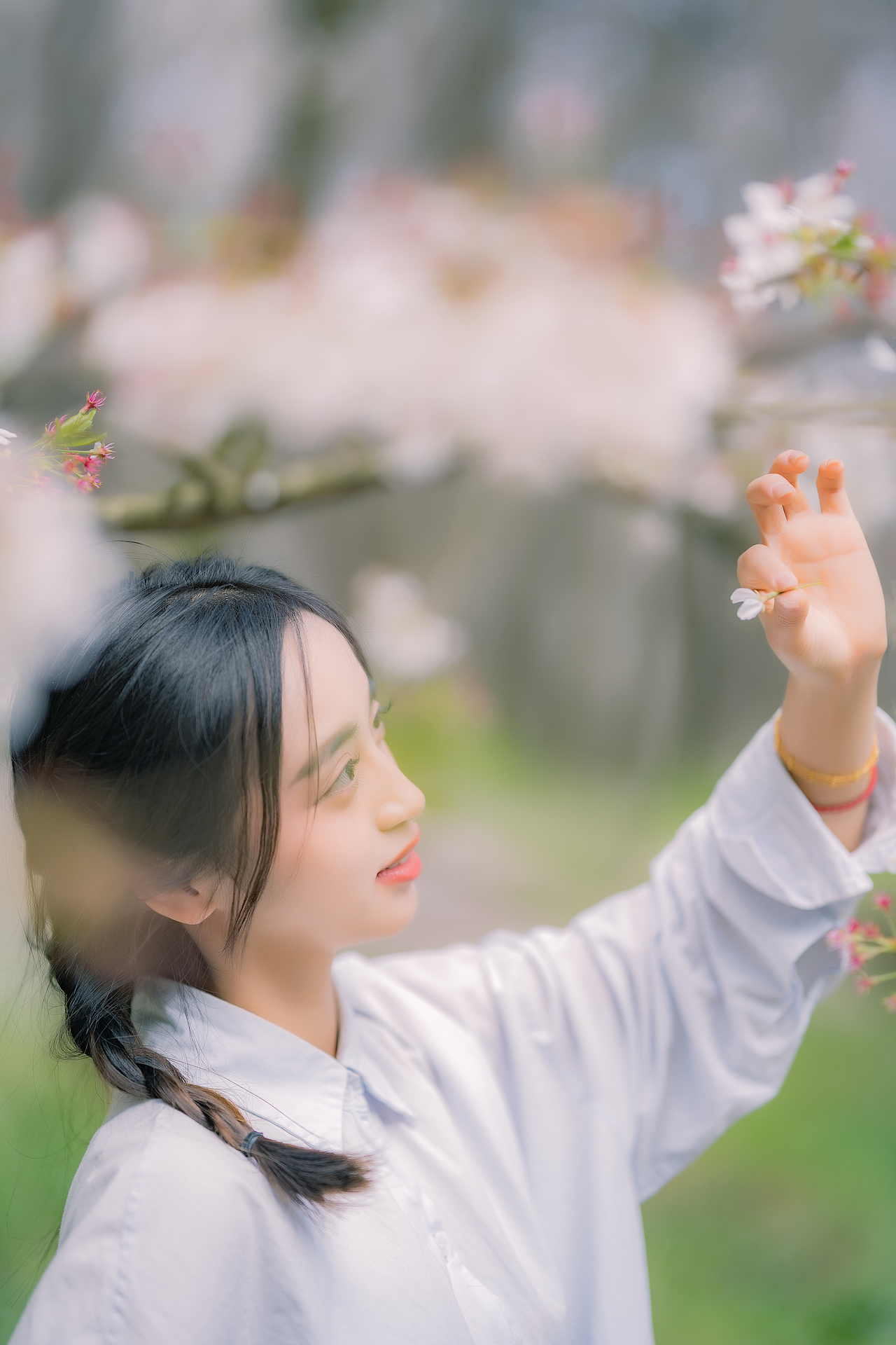 站在樱花下的少女