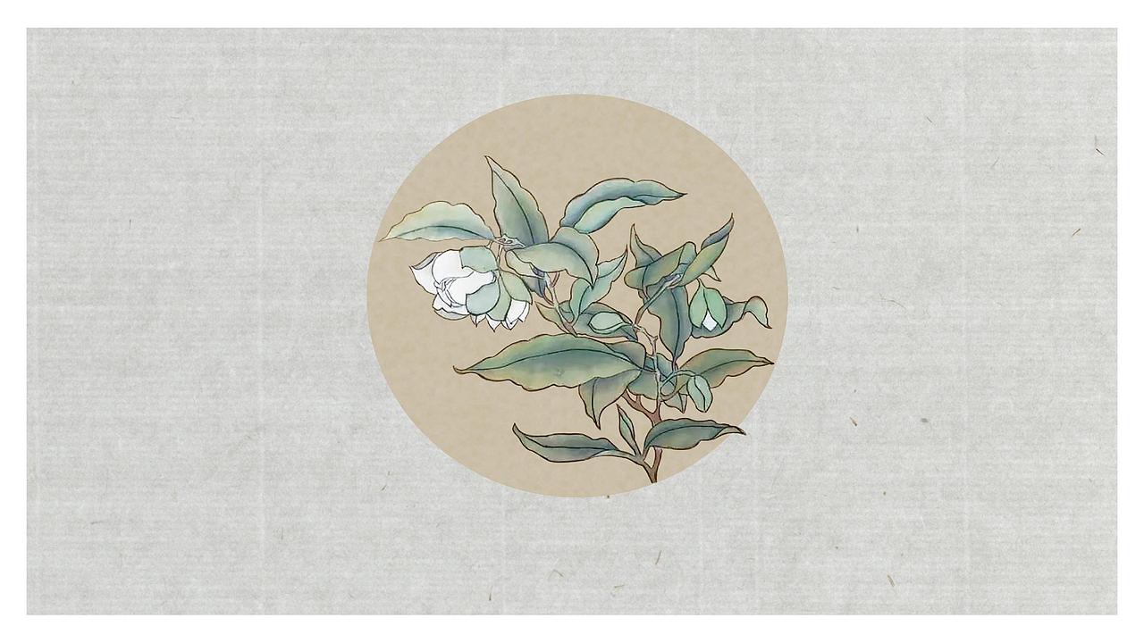 1821期学生个人作品展示01