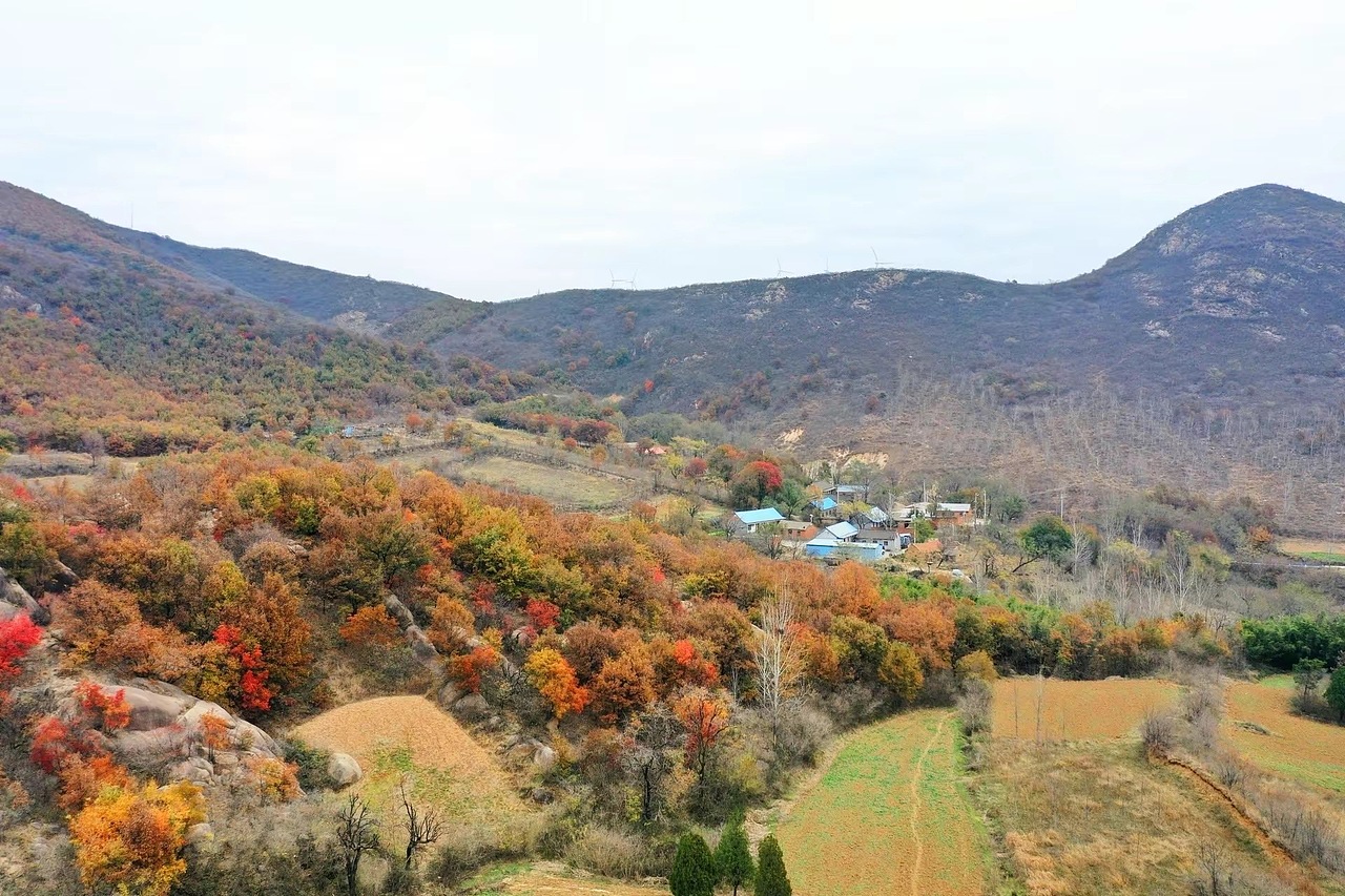 红叶美如画（图ZMzU3NzA1ODcy） - 风光摄影 - 站酷设计师我的瞬间艺术原创素材 - 站酷ZCOOL