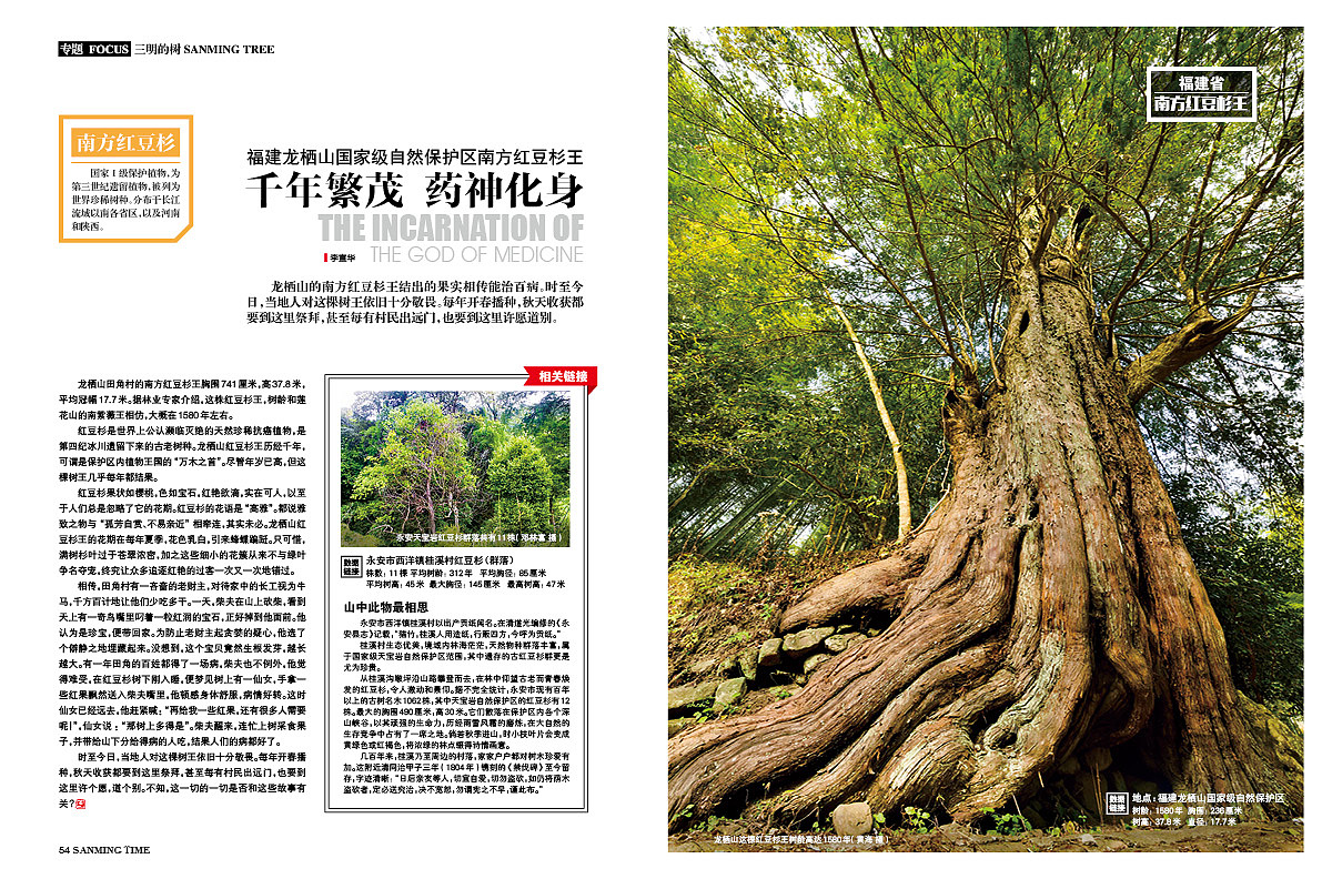 《时代三明》杂志-专题·三明的树-封面:李家乡鲜水塘