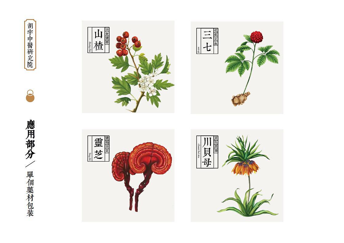 胡宇中医研究院品牌形象设计（图ZMjEzNTk2MzYw） - 品牌 - 站酷设计师欲上九天揽月原创素材 - 站酷ZCOOL