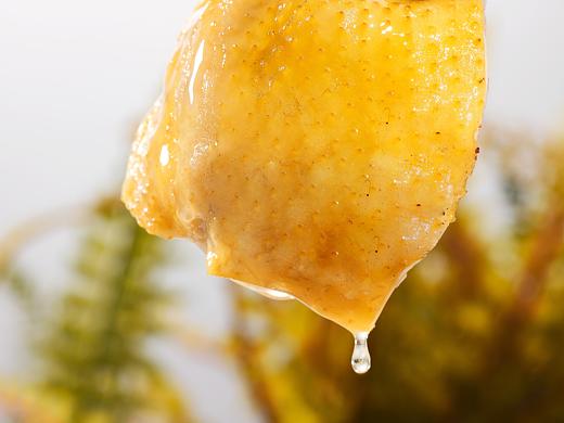 白切鸡【Woodkai.Liu Studio】