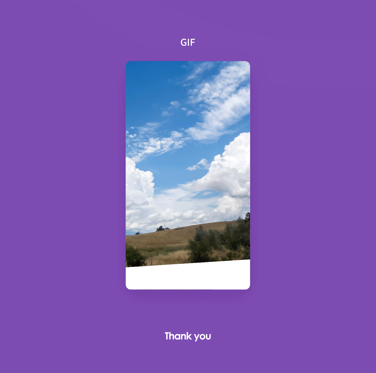 静水流深【接骨木莓泡腾片】海报视觉分享