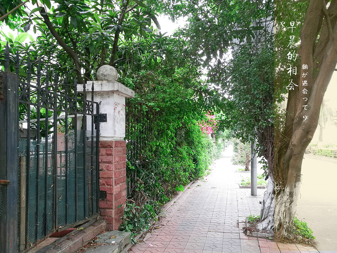 随手拍（图ZOTE4NzQ5MzY=） - 环境/建筑摄影 - 站酷设计师添彩的燕子不会画原创素材 - 站酷ZCOOL