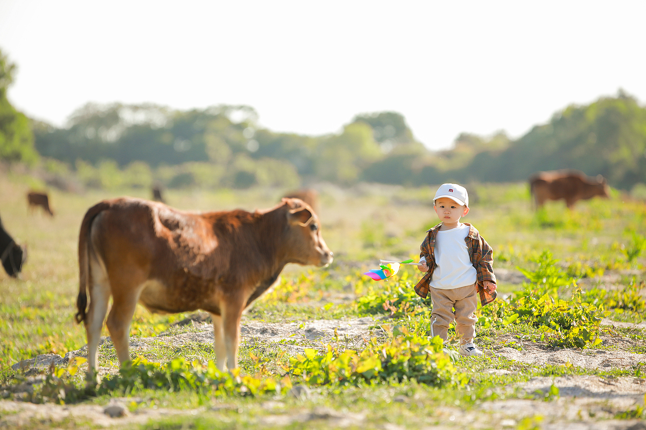 春天系列&1歲4個月（圖ZMjk2NDM0MTQ0） - 人像攝影 - 站酷設(shè)計師Cici小焌熙原創(chuàng)素材 - 站酷ZCOOL