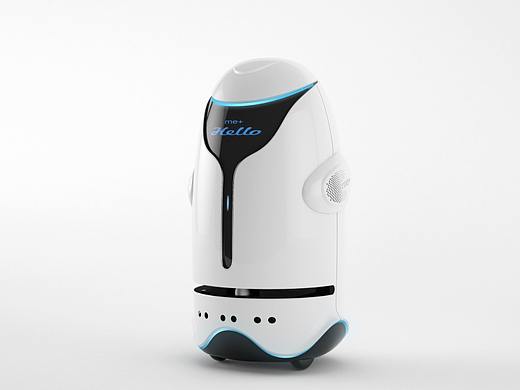 Intelligent Service Robot