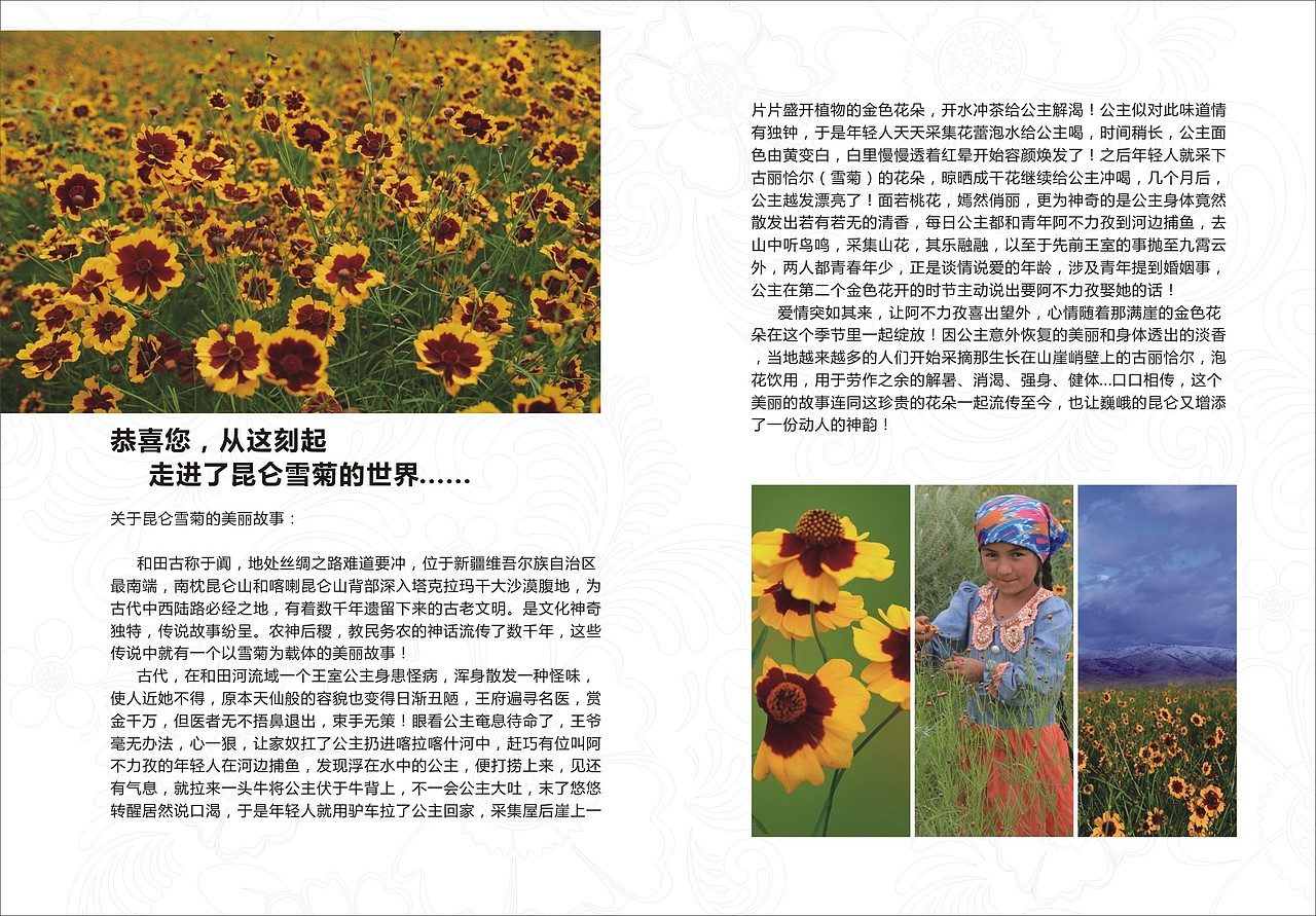 淘宝宣传小手册（图ZMjA0MjY3MzI=） - 电商 - 站酷设计师七玥pancy原创素材 - 站酷ZCOOL