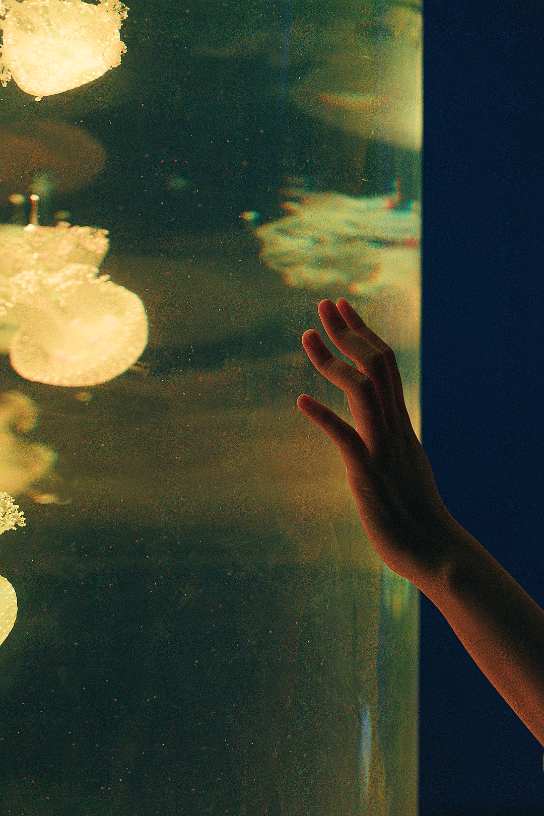 「海底蓝洞」•海洋奇梦馆（图ZMjY2MDc2NTA4） - 人像摄影 - 站酷设计师寶兒boa原创素材 - 站酷ZCOOL