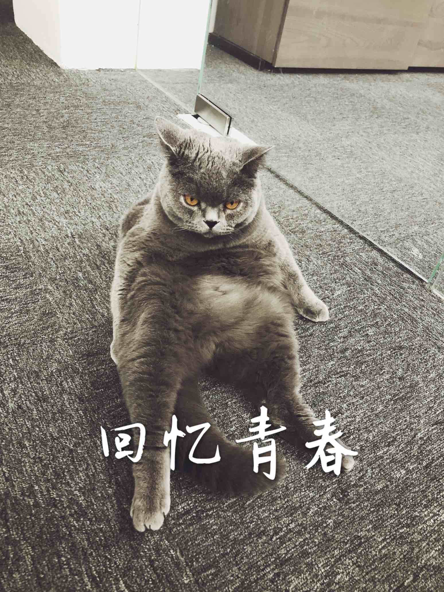 Vertex_Andy的個人主頁（背景預(yù)覽） - 主頁背景設(shè)置 - 站酷設(shè)計師Vertex_Andy原創(chuàng)素材 - 站酷ZCOOL