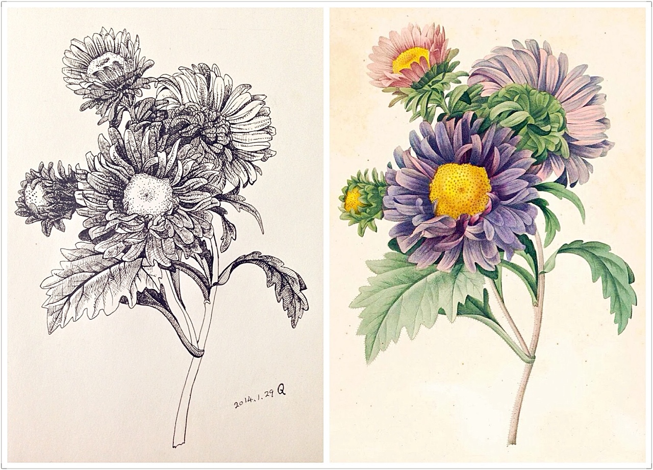 开花不并百花丛，独立疏篱趣味浓。