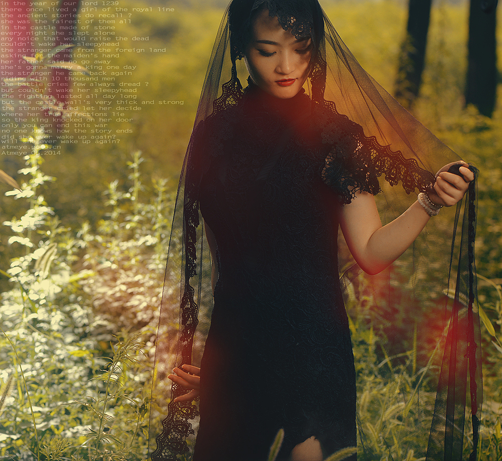 公元1239年 @秋瞳