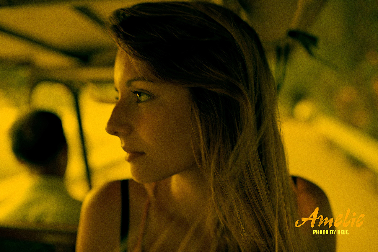 Halen / 致敬【Amelie】