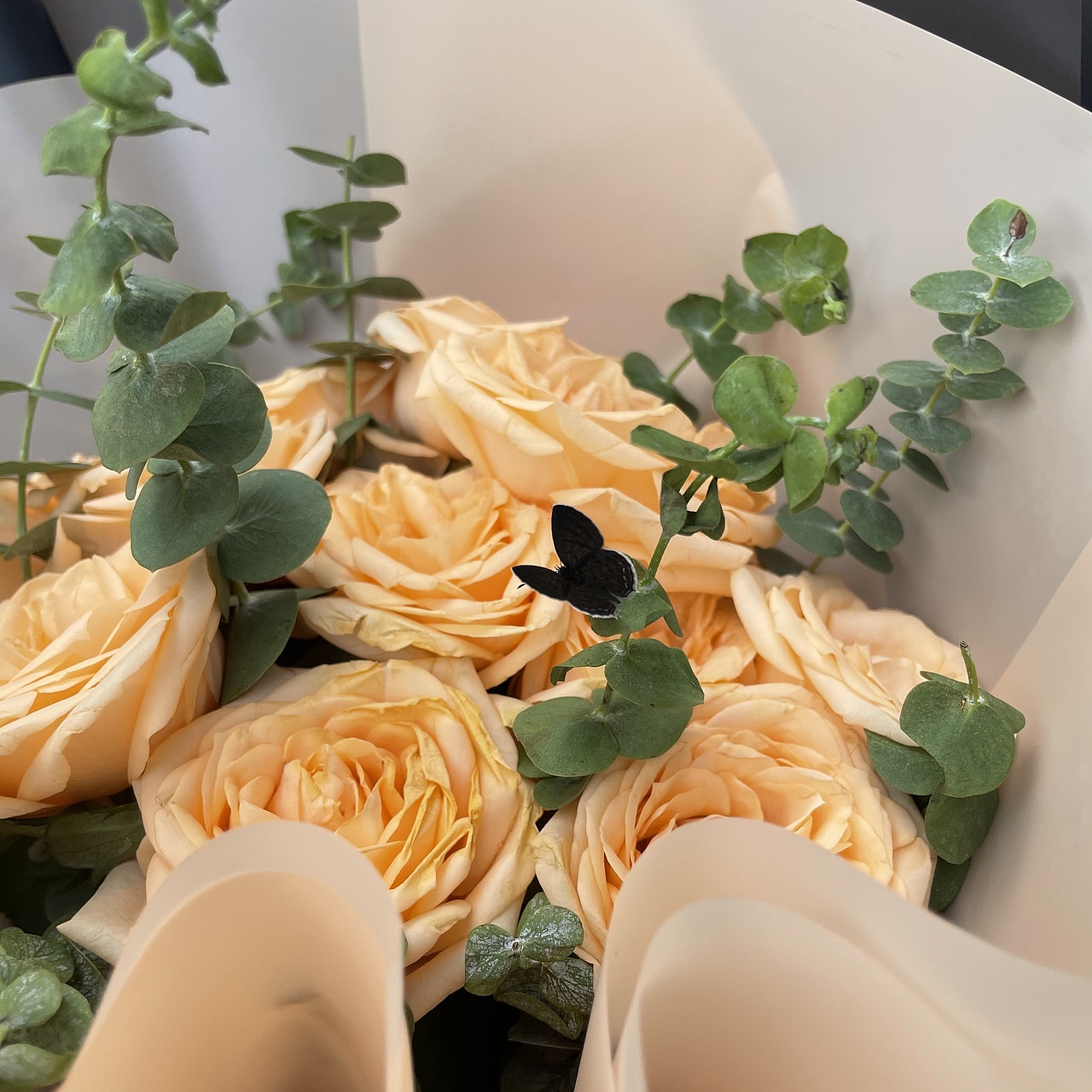 平面设计 艺术插画 摄影作品收购（图ZMjY0NjM5Njcy） - 海报 - 站酷设计师机智小天才原创素材 - 站酷ZCOOL