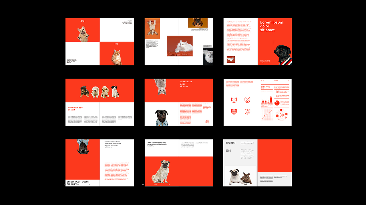 宠物家品牌设计