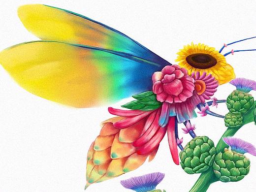 再来几张  蜂蜜包装插画