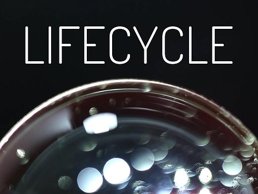 微距下的新世界（個(gè)人主頁(yè)-ZNDQwOTUxNDQ=） - 短片 - 站酷設(shè)計(jì)師非正式95后原創(chuàng)素材 - 站酷ZCOOL