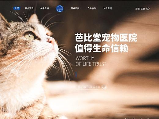 一屏式单屏网页设计