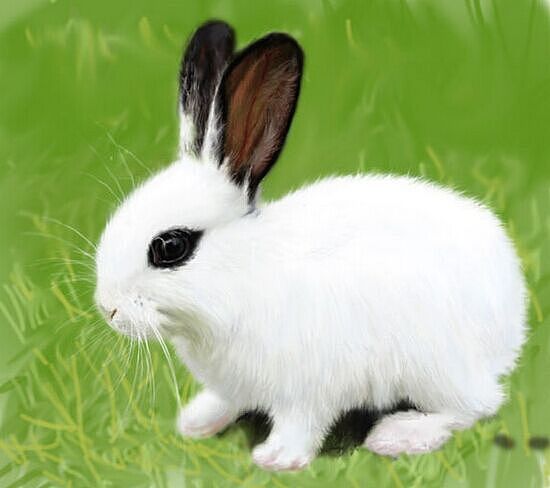 再继续细致刻画