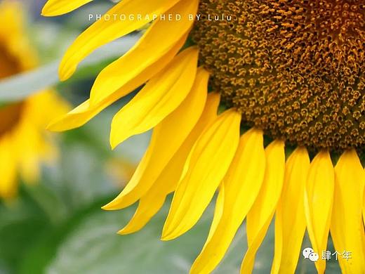 念念不忘，必有回响。