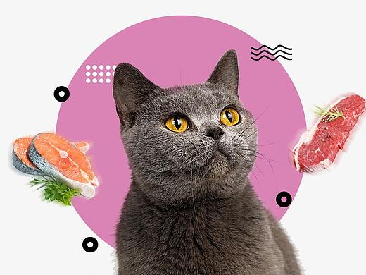 猫粮 轮播图