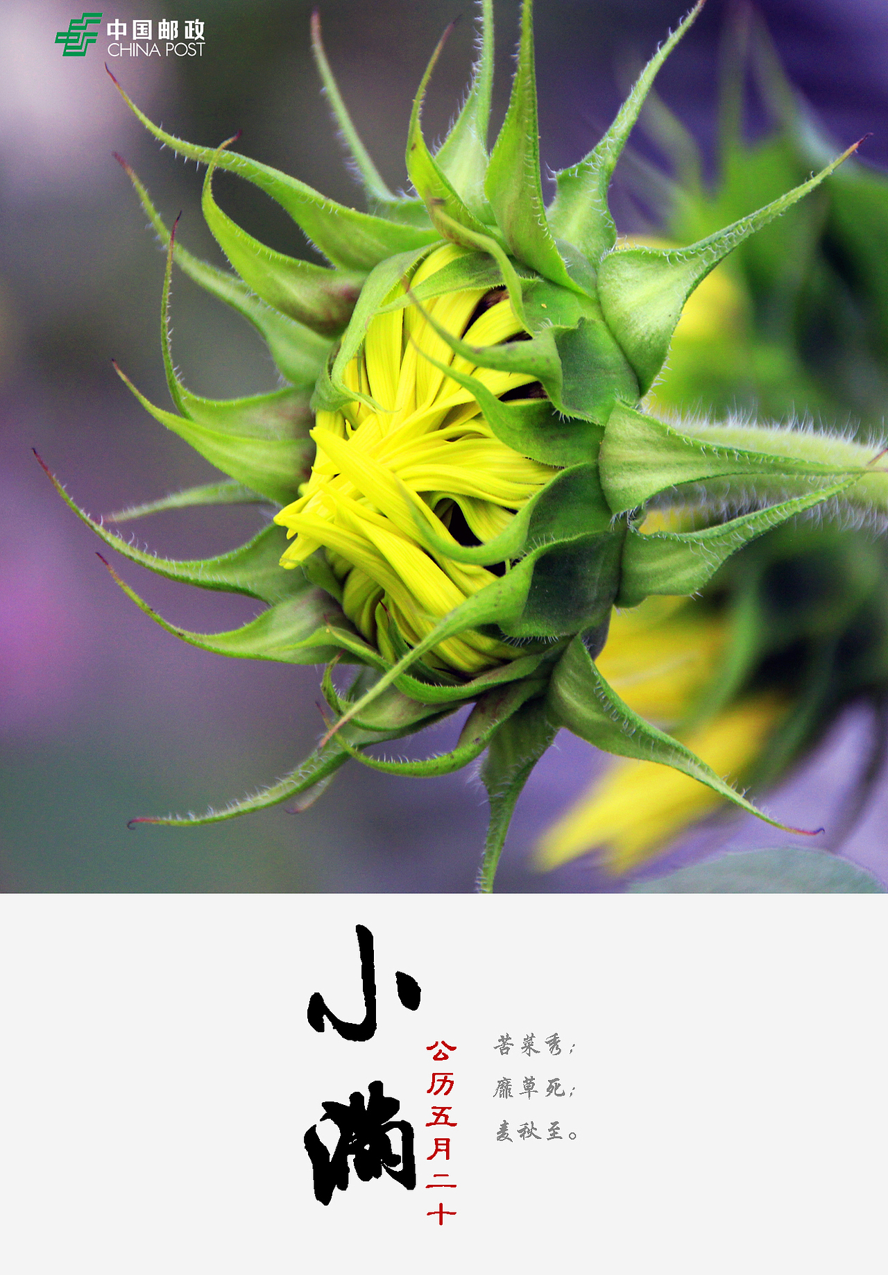 无题（图ZNTc4ODU5ODg=） - 海报 - 站酷设计师潘朵拉1950原创素材 - 站酷ZCOOL