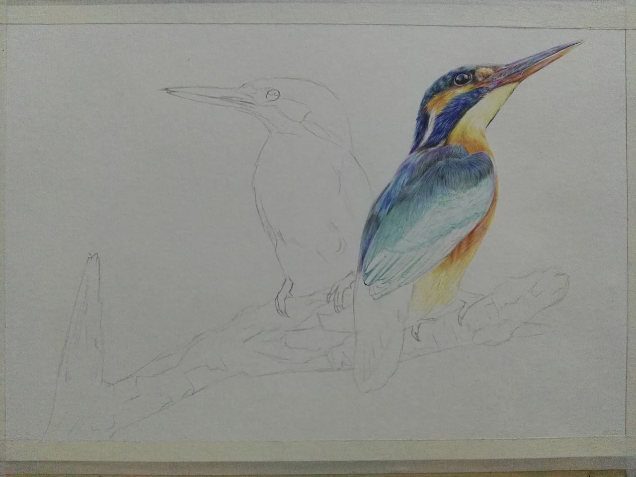 彩色圆珠笔作品《伴》（图ZOTgzOTQyODA=） - 绘画 - 站酷设计师浩轩手绘原创素材 - 站酷ZCOOL