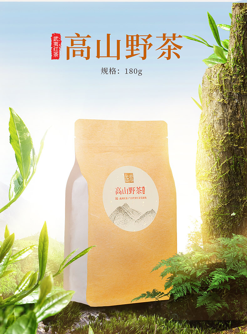 高山野茶来一波