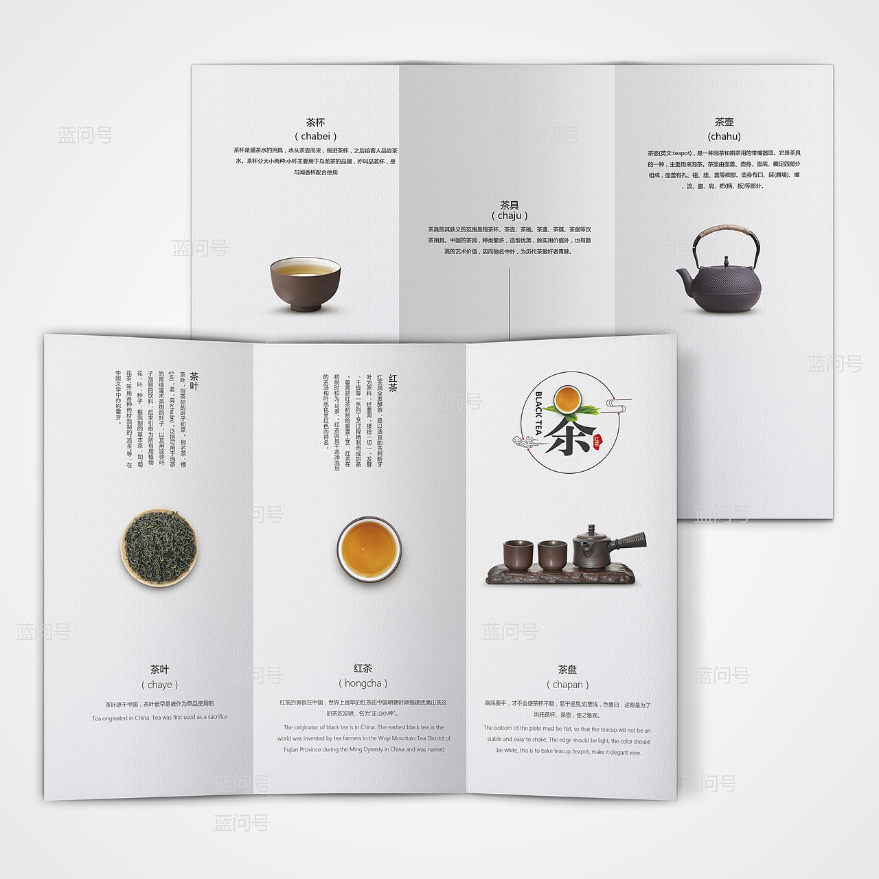 茶三折页设计