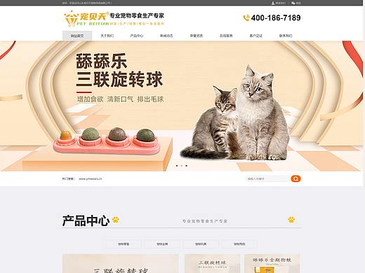 官网首页