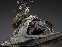 《天门集》棘龙