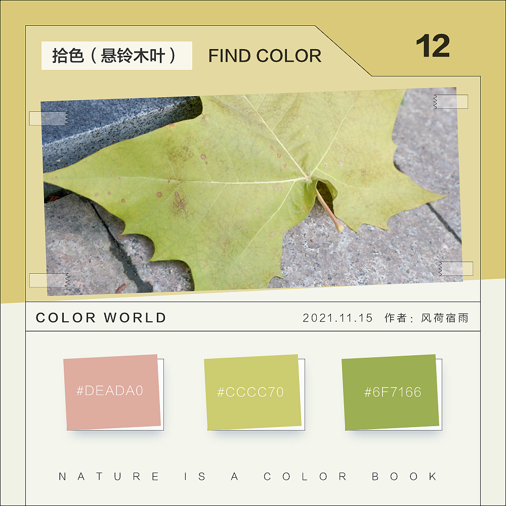 色彩（悬铃木）（图ZMjgyNzQ3MzYw） - 其他 - 站酷设计师风荷宿雨原创素材 - 站酷ZCOOL