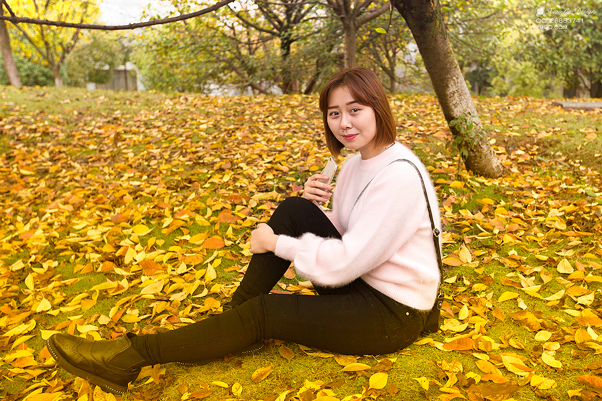 春华秋实，新的开始