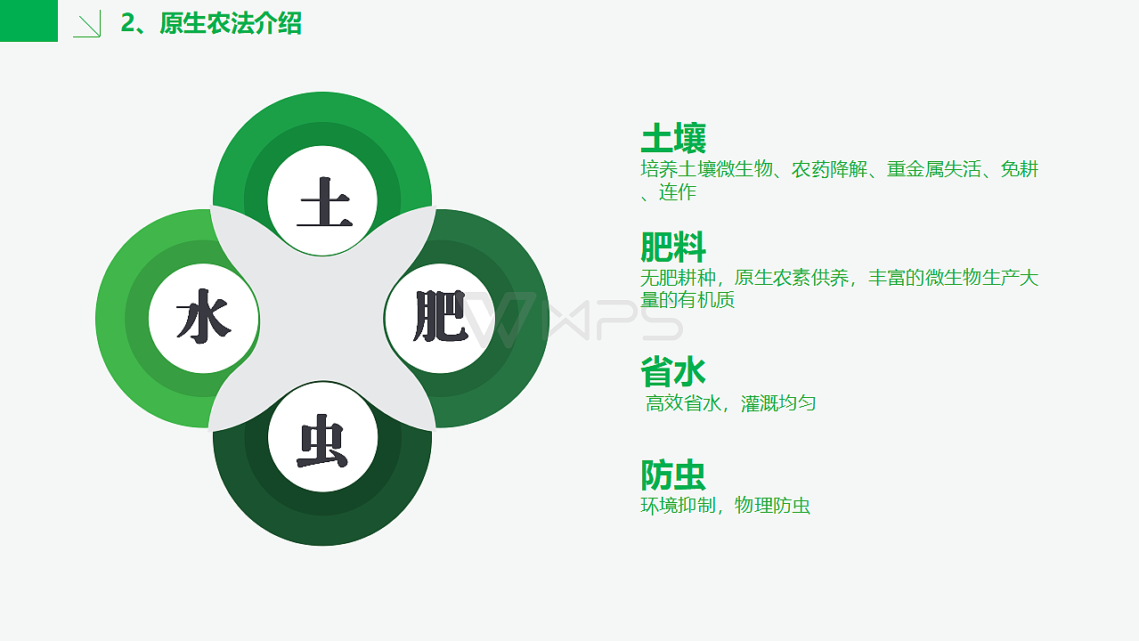 广东原生农业生物科技有限公司ppt（图ZMTE3MzEzODQ0） - PPT/Keynote - 站酷设计师RexW一studio原创素材 - 站酷ZCOOL