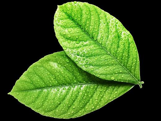 参考策划（个人主页-ZMjczNTg4MjQ=） - 其他平面 - 站酷设计师玄奘xz原创素材 - 站酷ZCOOL