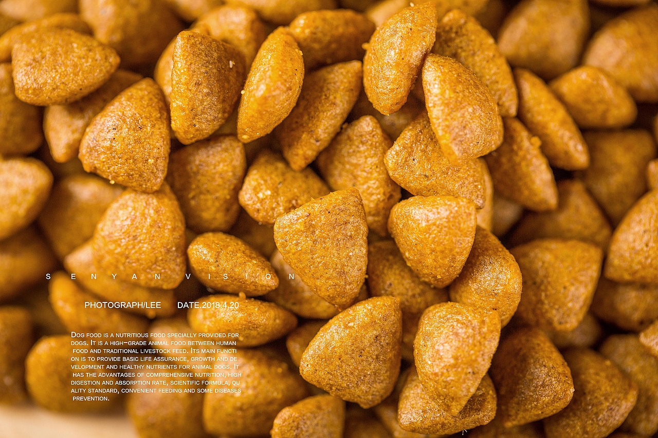 狗子干粮拍摄（图ZMTEzMzM2OTk2） - 产品摄影 - 站酷设计师森焱摄影原创素材 - 站酷ZCOOL