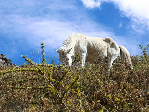 5月的新都橋-色達(dá)-稻城之藍(lán)天白云（個人主頁-ZMjgzODcyNzI=） - 風(fēng)光攝影 - 站酷設(shè)計師練習(xí)奔跑的蝸牛原創(chuàng)素材 - 站酷ZCOOL