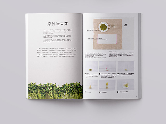 生机汉方冬季刊（图ZMTA0MDg4MzU2） - 书籍/画册 - 站酷设计师嗷嗷嗷嗷AOAO原创素材 - 站酷ZCOOL